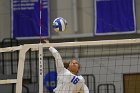 Wheaton Women's Volleyball  Wheaton Women's Volleyball vs Bridgewater State University. : Wheaton, Volleyball, BSU, Bridgewater State College